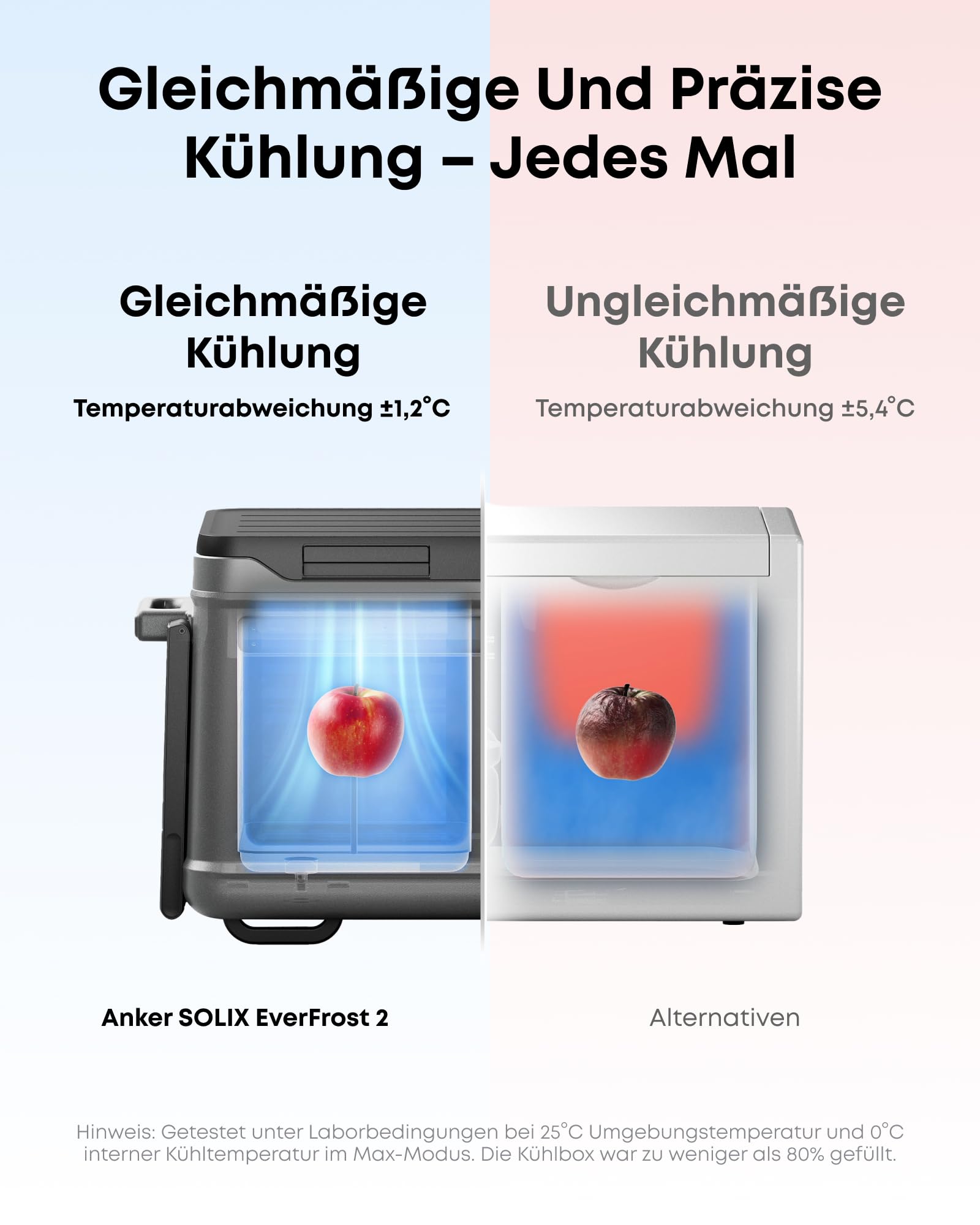 Anker SOLIX EverFrost 2 40L Akku-Kühlbox, Tragbarer Mini-Kühlschrank, 288Wh Akku, AC/DC or Solarenergie, Für Camping, Reisen, Angeln, -20℃ bis 20℃ Betrieb (Nur 1 Akku im Lieferumfang)