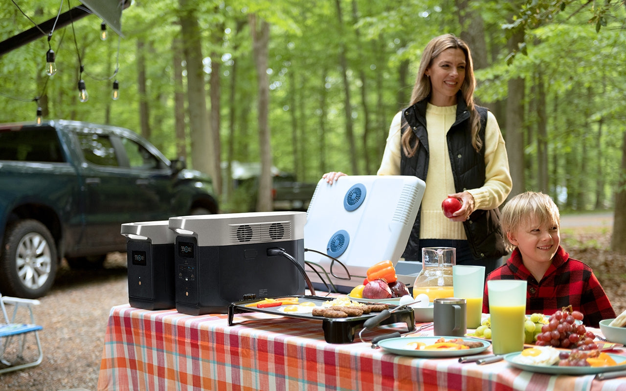 EcoFlow Delta Max 1600 B-Ware